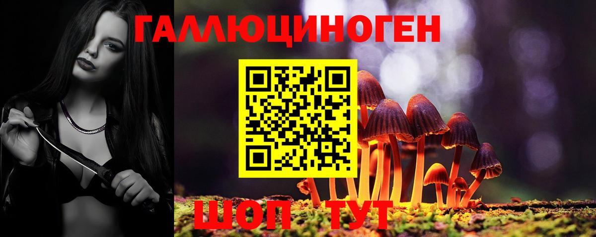 Псилоцибиновые грибы мицелий Нарткала